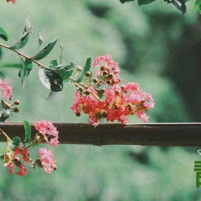 半岛综合官网App