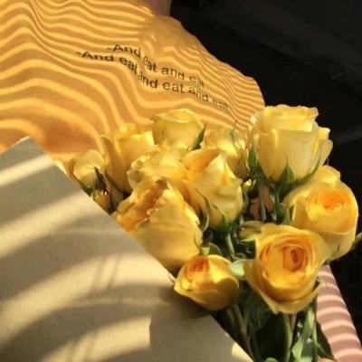 必威体育西汉姆体育